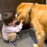 小さな男の子にドライな犬…なんだかんだ『お願いに応えてあげる姿』が話題に「ふたりとも可愛くて癒される」「面倒を見てあげてるみたい」