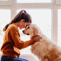 犬に『想いを伝える』方法４つ　飼い主がすべき正しいコミュニケーション方法とは？