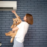 犬にしてはいけない『冷房の使い方』３選　絶対にやってはいけないタブー行為とは？