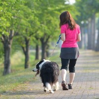 愛犬を散歩中に『目を離してはいけない』理由5つ　思わぬ事故を引き起こしてしまうかも…