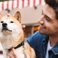 愛犬をお祭りに連れて行ってはいけない？5つの理由や迷子や事故などの注意点をご紹介