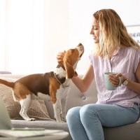 愛犬は自分のことを『人間』だと思うことはあるの？勘違いしてしまう理由や注意点まで