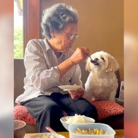 犬とおばあちゃんが『朝ごはん』を一緒に食べた結果…まるで孫のような『幸せ溢れる光景』が163万再生「素敵な関係すぎる」海外からも大絶賛
