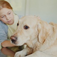 犬が強風や雷雨を怖がっている時に飼い主が必ず行うべきこと3つ　NG行為から留守番中の対策方法まで