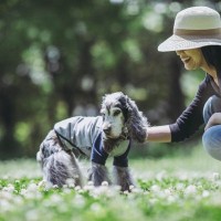 愛犬がシニア期に入る前に改善すべき『生活習慣』とは？健康に過ごしてもらうためにできることまで