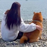 『保護犬との1年間』を振り返ったら…愛にあふれる家族としての思い出が95万再生「大切にされているのがわかる」「涙が止まらない」」と感動