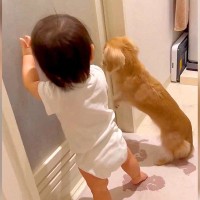 犬と赤ちゃんが『入浴中のパパ』に必死のアピール…可愛すぎる『まさかの理由』が104万表示「よくわかってないの草」「ゆっくり入れないｗ」