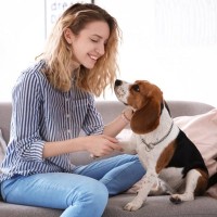 犬が『わがまま』になる飼い主のNG行動5つ　愛犬を自分勝手にさせないための注意点とは？