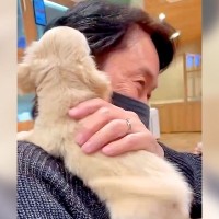 『僕を連れて帰って！』赤ちゃん犬を抱っこした結果…『運命の出会いを果たす瞬間』が愛おしいと65万再生「可愛すぎる」「しっぽちぎれそうｗ」