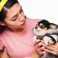 『アクセサリー感覚』で犬を飼っている人の特徴6選　都合のいい存在だと思っている飼い主がする行動とは