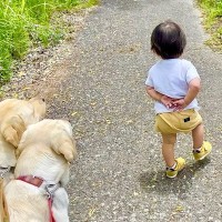 小さな女の子が『2匹の大型犬とお散歩』した結果…まさかの『おばあちゃんの真似』が可愛すぎると145万再生「得意気ｗ」「全てが愛おしい」