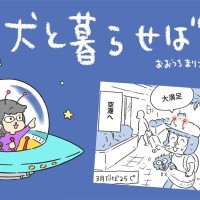 犬と暮らせば【第449話】「フライミートゥザドリーム」