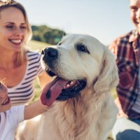 愛犬と過ごす日々の幸せな瞬間５つ　『出逢えてよかった』と心が温まるタイミングとは？