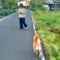 犬に『いないはずの家族とすれ違うドッキリ』を仕掛けた結果…涙溢れる『感動の一部始終』が678万再生「これだから犬ってやつは」「最高」