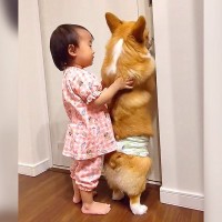 犬が飼い主を追いかけていたら…赤ちゃんが見せた『まさかの行動』に66万再生の反響「ハグ可愛すぎるｗ」「背丈一緒なのたまらん」と悶絶