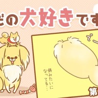 ただの犬好きです。【第272話】「今なんて？」