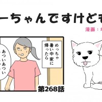 ちーちゃんですけどもっ【第268話】「電気代を払ってるのは私だよ」