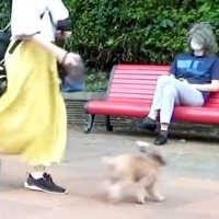 犬の散歩中に『パパが変装して現れるドッキリ』を仕掛けたら…思った以上の『急カーブ』が愛おしいと61万再生「愛が強い」「なんか感動…」