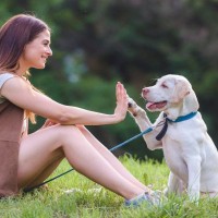 『犬は飼い主に似る』って本当なの？表情や気質への影響や犬本来の性格に合わせた注意点を研究結果と併せてご紹介