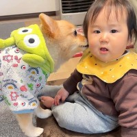 赤ちゃんを『我が子のように』お世話する犬…幸せすぎる『相思相愛な光景』が18万再生「優しいまなざし」「内緒話かわいい」と絶賛