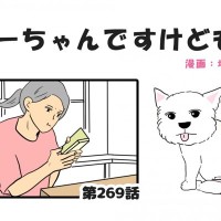 ちーちゃんですけどもっ【第269話】「見守りカメラ①」