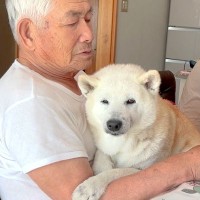 夏、犬が大好きなおじいちゃんと『お盆休みを過ごした』結果…ほっこりが溢れている光景に悶絶「相思相愛」「一緒にお手紙読んでるの尊い」