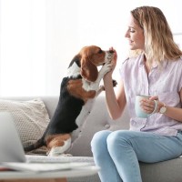 犬が『スキンシップを求めているとき』の３つのサイン　寂しい気持ちにさせないためにできることやNG行為まで