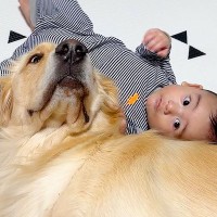 大型犬が『赤ちゃんと一緒に育てられた』結果…想像以上の『お兄ちゃんっぷり』が21万再生「ずっと離れないの優しい」「犬って最高」と感動