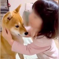 小さな女の子が『犬を抱きしめた』結果…まさかの『辛辣すぎる一言』に爆笑「正直すぎて草」「最高ｗ」「ツボに入った」と1万9000再生