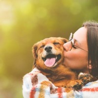 『長生きな犬種』5選　寿命を伸ばす秘訣や世界で最長寿なわんこもご紹介