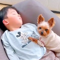 犬が男の子に秘密にしていること…こっそりやってる『まさかの行動』が可愛すぎると106万再生「大胆で笑ったｗ」「仲の良すぎだろ」と絶賛