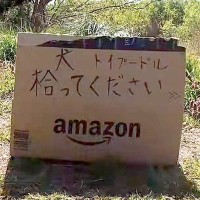 『犬、拾ってください』土手に捨てられたトイプードル…壮絶なダンボール生活から激変『生まれ変わった姿』が67万再生「涙出る」「感動した」