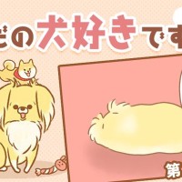 ただの犬好きです。【第274話】「お返事」