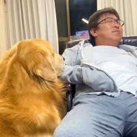 父が大型犬を『しつけの為に叱った』結果…想定外な『まさかの結末』が面白すぎると204万再生「ダメダメで草」「ごめんねってしてるｗ」