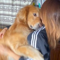 大型犬とハグした結果…絶対に譲れない『まさかのこだわり』が可愛すぎると166万再生「諦めるの最高にかわいい」「争奪戦ｗ」海外からも絶賛