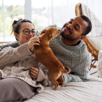 犬が『飼い主の休日』にする行動4つ　愛犬には休みの概念があるの？どうやって理解してる？