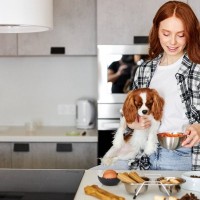 愛犬に『手作りご飯』を与えるときの絶対NG行為5つ　把握すべき危険な食材やデメリットまで