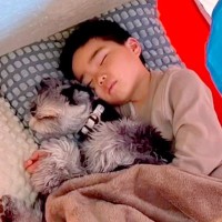 テントの中で寝る『男の子と犬』を覗いてみたら…必ず『腕枕で寝る』光景が仲良しすぎると5万再生「体勢変わってもずっとしてる」「可愛すぎ」