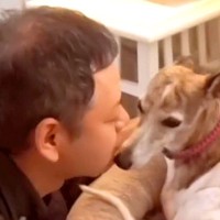 『犬を怖がっていた夫』が犬を飼った結果…まさかの『現在の姿』が最高すぎると8万再生「とっても良い話」「恋人同士みたいｗ」と大絶賛