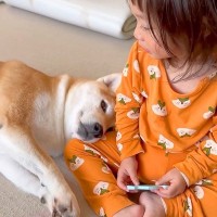 犬が『ご機嫌ナナメで泣いている女の子』を見たら…まさかの『優しさあふれる行動』と可愛い結末が4万8000再生「ほのぼのする」と話題に