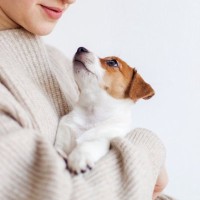 犬を飼う前に知っておくべき『理想と現実』とは？理想が高すぎると自分や愛犬を苦しめることに…