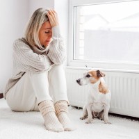 犬は飼い主が『悲しんでいる』のが分かる？泣いているときに寄り添ってくれる理由とは？