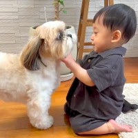 仲良しすぎる『犬と赤ちゃん』を撮影したら…まるで天使のような『ふたりのやり取り』が24万2000再生　可愛くて微笑ましい光景に悶絶