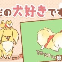 ただの犬好きです。【第276話】「ついてきてる？」