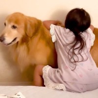 子供2人が喧嘩をしたら、大型犬が…感動的な『優しすぎる対応』が17万再生「心のよりどころ」「私も犬に抱きついて泣いた」共感と絶賛の声