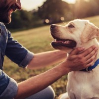 犬に『感謝』を伝える方法４選　愛犬にありがとうの気持ちを伝えて絆を深めよう