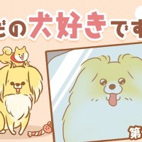 ただの犬好きです。【第277話】「ご所望」