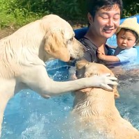 夏、プールに赤ちゃんと大型犬を一緒に入れた結果…想像以上の『大はしゃぎ』が最高過ぎると111万再生「やんちゃで可愛い」「幸せの縮図」