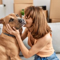 犬が『飼い主のことを苦手になる』原因4選　避けているときにする行動や嫌われる人の共通点まで