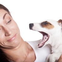 犬の『口臭が酷くなる』原因3選　病気の可能性やニオイを抑える方法まで解説